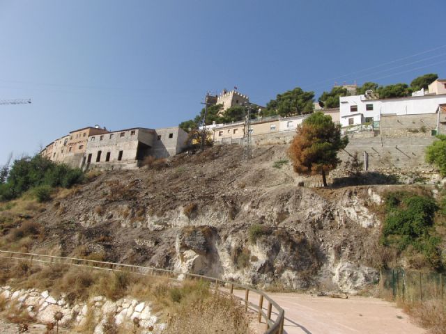 PSOE: La falta de limpieza de algunas zonas, los destrozos y actos de vandalismo, intensifican las quejas de los vecinos de algunos barrios - 3, Foto 3