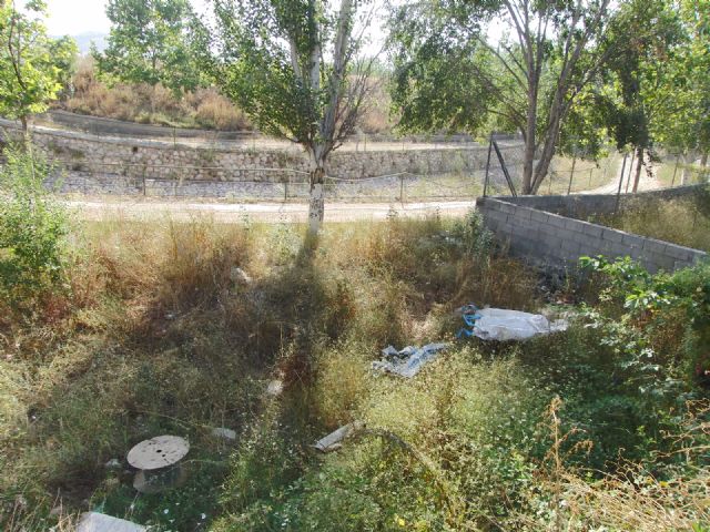 PSOE: La falta de limpieza de algunas zonas, los destrozos y actos de vandalismo, intensifican las quejas de los vecinos de algunos barrios - 4, Foto 4