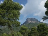 La Región participa en un proyecto europeo para la adaptación del bosque mediterráneo al cambio climático