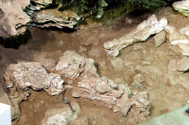 Se amplía por la tarde el horario de visita a Cueva Victoria - 3, Foto 3