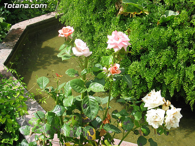 Autoridades municipales asisten a los actos organizados por la Asociacin de Hosteleros de Totana - 5