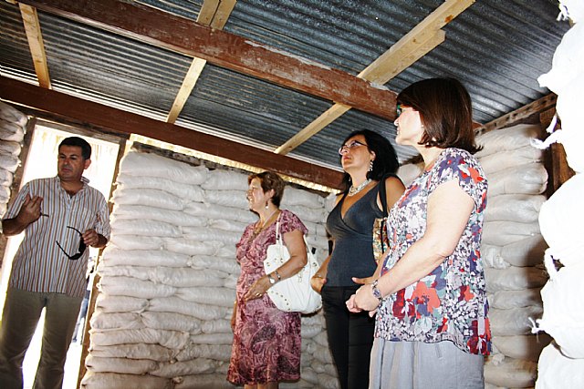 Los refugios para los damnificados por el terremoto en Haití comenzarán a construirse en septiembre - 2, Foto 2
