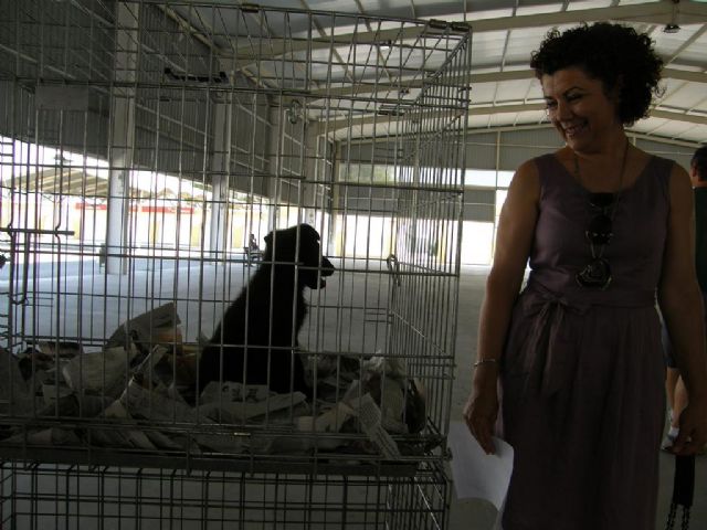 El Ayuntamiento de Lorca inicia una campaña de recogida y adopción de animales - 1, Foto 1