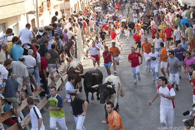 Los toros del 'Conde de la Maza' llegan a la plaza sin causar problemas en el segundo encierro de feria - 2, Foto 2