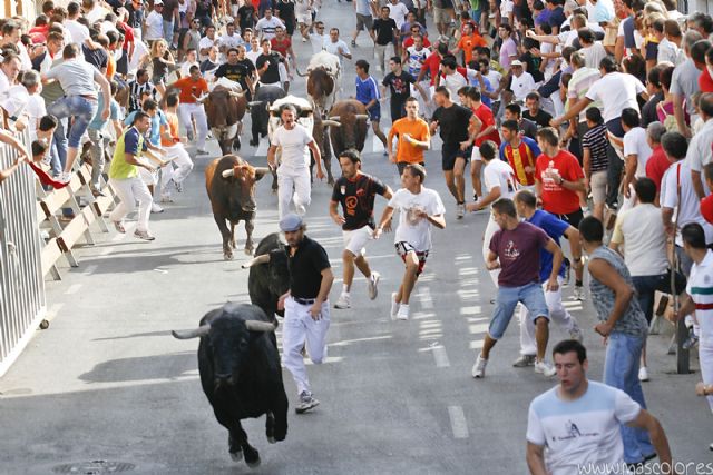El último encierro de San Zenón acaba sin heridos y atrae a miles de personas hasta Cehegín - 1, Foto 1