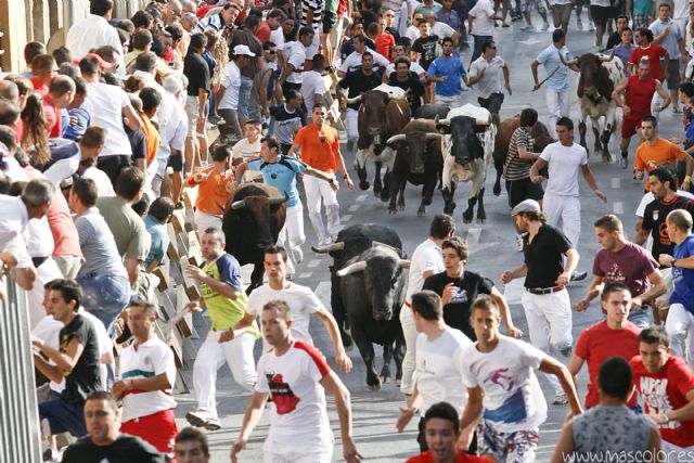 El último encierro de San Zenón acaba sin heridos y atrae a miles de personas hasta Cehegín - 2, Foto 2