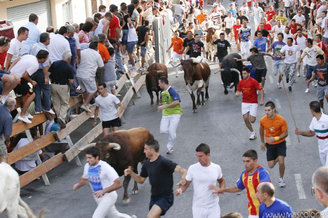El último encierro de San Zenón acaba sin heridos y atrae a miles de personas hasta Cehegín - 3, Foto 3