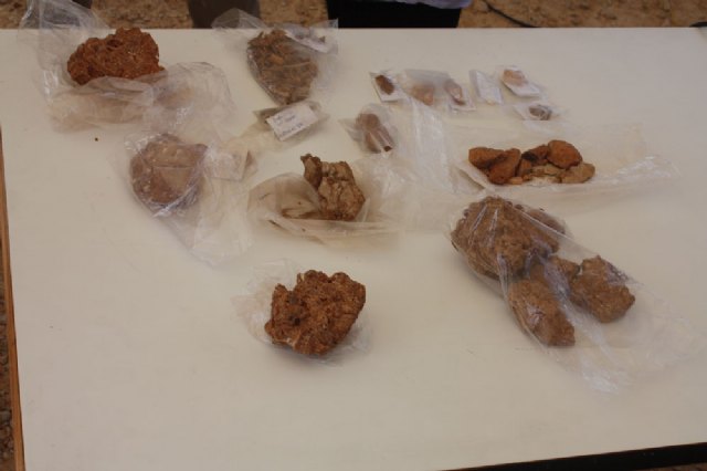Cultura presenta la 19 campaña de excavaciones Paleontropológicas y Arqueológicas de la Sima de las Palomas en Torre Pacheco - 2, Foto 2