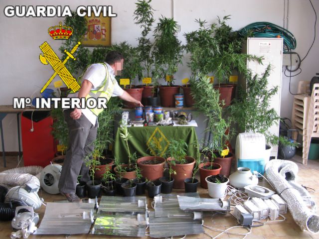 La Guardia Civil desmantela un punto de producción y distribución de marihuana, en la comarca del Mar Menor. - 2, Foto 2
