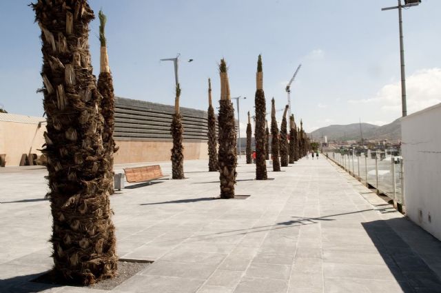 El puerto estrena 6.500 metros cuadrados más de paseo marítimo para la Audi MedCup - 1, Foto 1