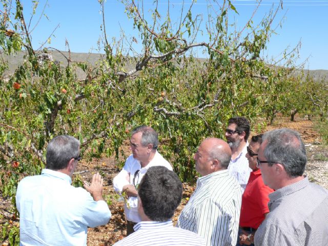 El delegado del Gobierno y el alcalde visitan varios parajes afectados por las lluvias y el pedrisco - 3, Foto 3