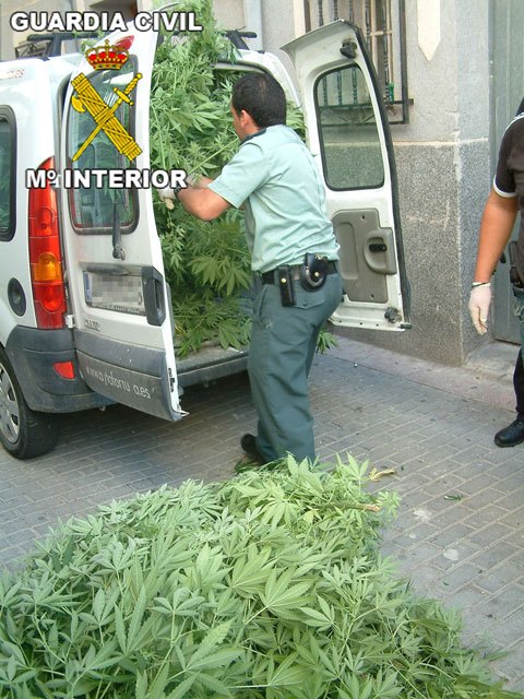 La Guardia Civil desmantela un punto de producción y distribución de droga en Fortuna - 1, Foto 1