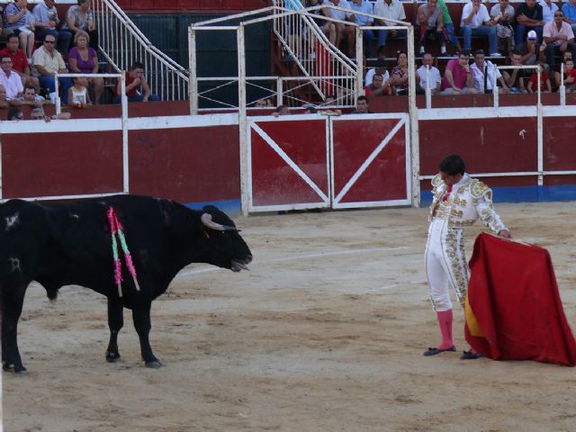 Cientos de aficionados disfrutaron de una novillada picada con rejoneador y un espectáculo ecuestre - 3, Foto 3