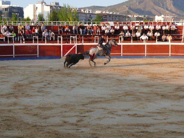 Cientos de aficionados disfrutaron de una novillada picada con rejoneador y un espectáculo ecuestre - 4, Foto 4