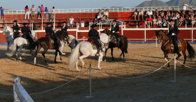 Cientos de aficionados disfrutaron de una novillada picada con rejoneador y un espectáculo ecuestre - 5, Foto 5
