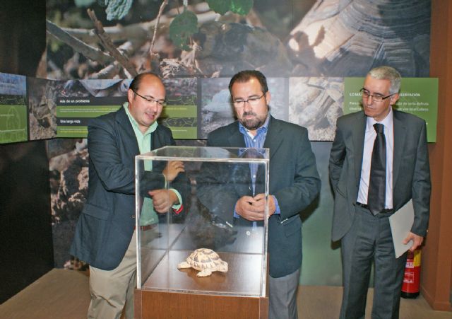 El nuevo Centro de Interpretación de la Naturaleza recibe medio millar de visitas desde su apertura el pasado mes de junio - 4, Foto 4
