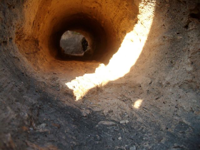 Encuentra el molde fosilizado de un árbol del 'Pleistoceno', en Cehegín - 3, Foto 3