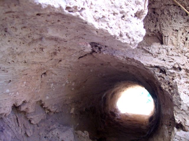 Encuentra el molde fosilizado de un árbol del 'Pleistoceno', en Cehegín - 4, Foto 4