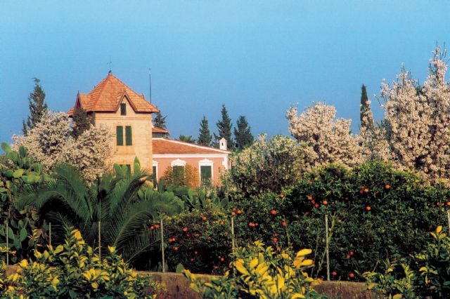 El ayuntamiento proyectará la zona de los huertos de Totana como referente en la formación de jóvenes artistas en la región de murcia - 1, Foto 1