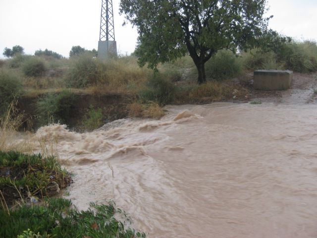 Ponen en marcha un dispositivo especial de limpieza para evitar las inundaciones por la previsión de la gota fría en el mes de septiembre, Foto 2