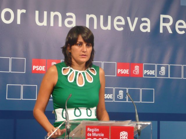 El PSOE culpa a Valcárcel de que la Región se sitúe a la cola de España en acceso a Internet en los hogares y en las empresas - 1, Foto 1