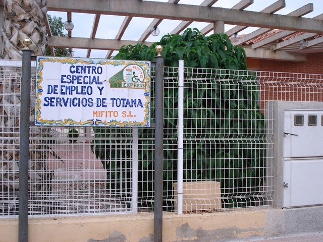 IU denuncia que los 60 trabajadores minusválidos del Centro Especial de Empleo, dependientes del Ayuntamiento, acumulan 3 meses sin cobrar, Foto 1