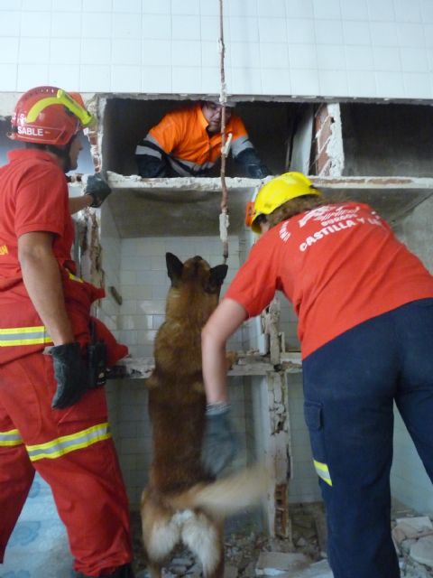 La Unidad Canina de Rescate del ayuntamiento de Águilas realiza un curso de instrucción en Burgos - 1, Foto 1