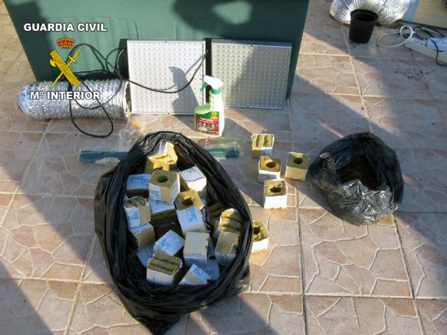 La Guardia Civil desmantela tres puntos de cultivo y distribución de marihuana - 1, Foto 1