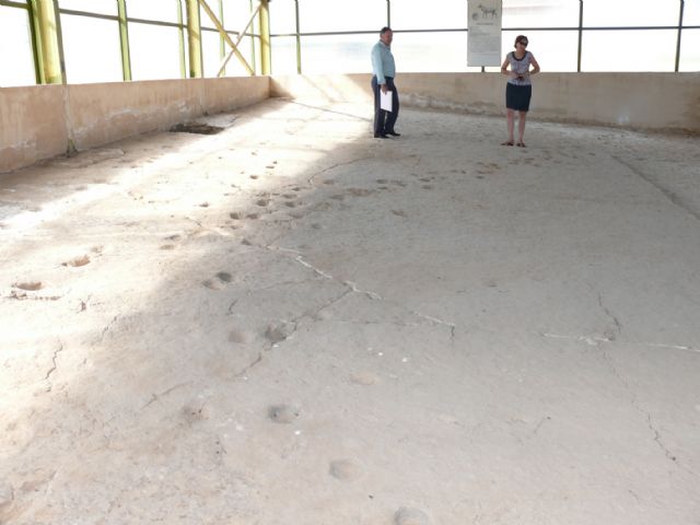 Un grupo de geólogos de toda europa visitarán Jumilla el próximo miércoles 15 de septiembre - 1, Foto 1