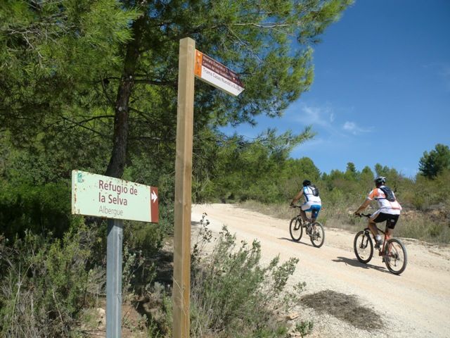 Más de sesenta ciclistas totaneros consiguen el jubileo tras realizar la peregrinación a Caravaca de la Cruz en bicicleta, Foto 5
