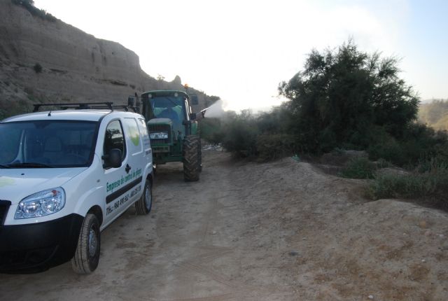 El ayuntamiento pone en marcha un plan de desinfección de la plaga de mosquitos provocada por el estancamiento del agua en el río Guadalentín, Foto 2