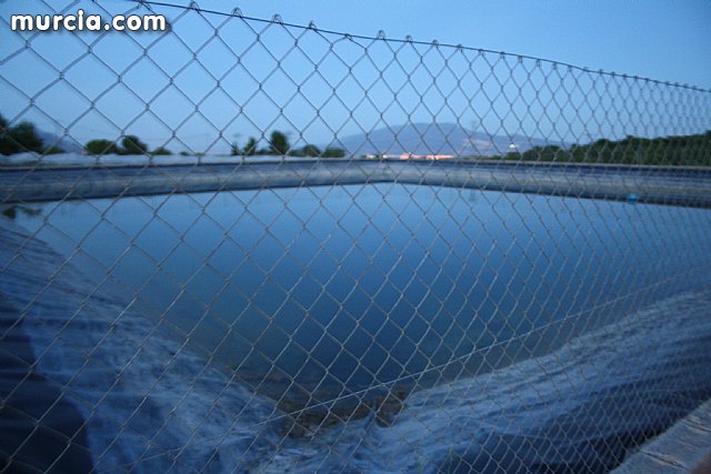 Las fuerzas de seguridad blindan cinco zonas del municipio contra la oleada de robos que se estn registrando en los cultivos de uva de mesa - 1