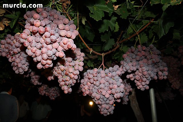 Las fuerzas de seguridad blindan cinco zonas del municipio contra la oleada de robos que se estn registrando en los cultivos de uva de mesa - 9