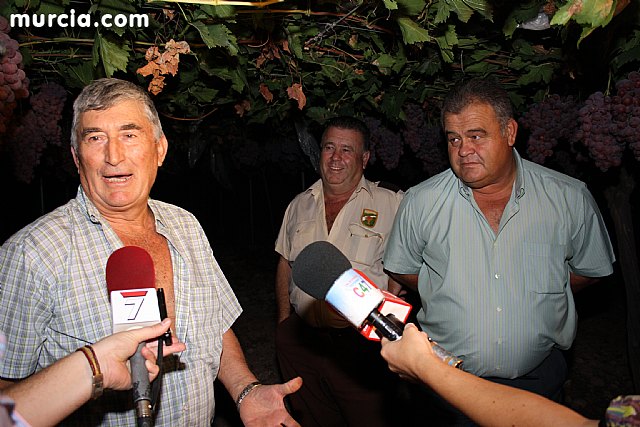 Las fuerzas de seguridad blindan cinco zonas del municipio contra la oleada de robos que se estn registrando en los cultivos de uva de mesa - 11