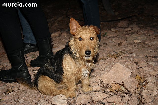 Las fuerzas de seguridad blindan cinco zonas del municipio contra la oleada de robos que se estn registrando en los cultivos de uva de mesa - 12