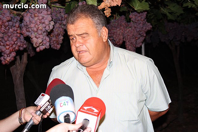 Las fuerzas de seguridad blindan cinco zonas del municipio contra la oleada de robos que se estn registrando en los cultivos de uva de mesa - 15