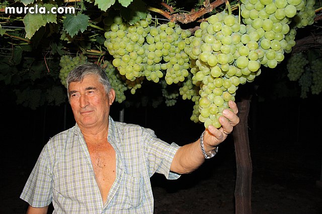 Las fuerzas de seguridad blindan cinco zonas del municipio contra la oleada de robos que se estn registrando en los cultivos de uva de mesa - 27
