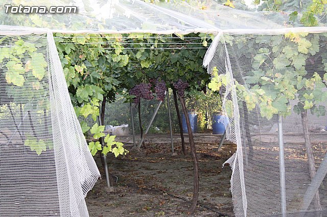 Los socialistas felicitan a la Guardia Civil por las detenciones efectuadas, Foto 1