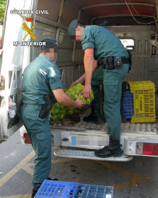 La Guardia Civil ha detenido a una persona in fraganti por la sustracción de fruta, Foto 1