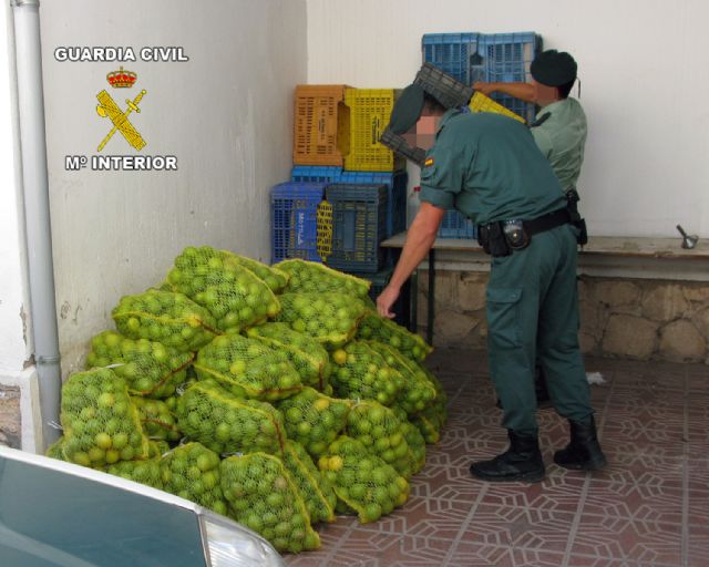 La Guardia Civil ha detenido a una persona in fraganti por la sustracción de fruta, Foto 2
