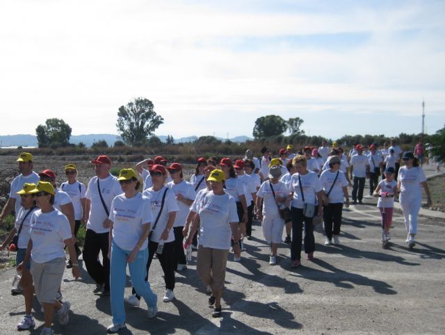Más de 200 lumbrerenses se solidarizan con los enfermos de Alzheimer en la 'I Marcha Solidaria' de la Asociación Lumbrerense ALDEA - 1, Foto 1