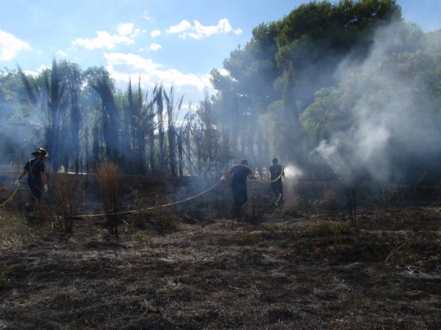 Protección Civil, Bomberos, Agentes Forestales y Policía Local de Totana participan en las labores de extinción de un incendio, Foto 2