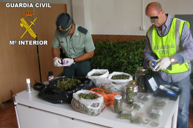 La Guardia Civil detiene a una persona por cultivo y tráfico de marihuana - 1, Foto 1