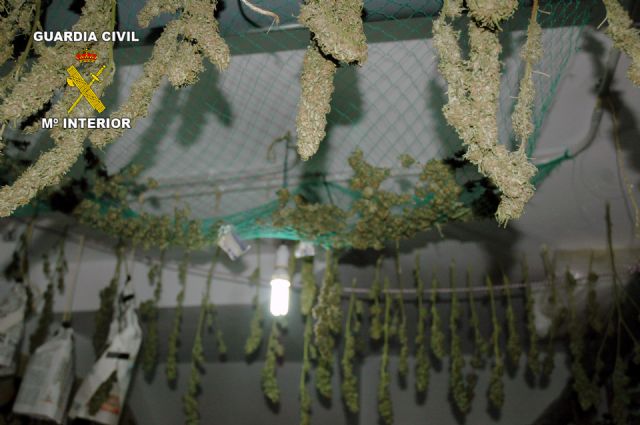 La Guardia Civil desmantela dos puntos de producción y distribución de marihuana en Archena y Pliego - 2, Foto 2