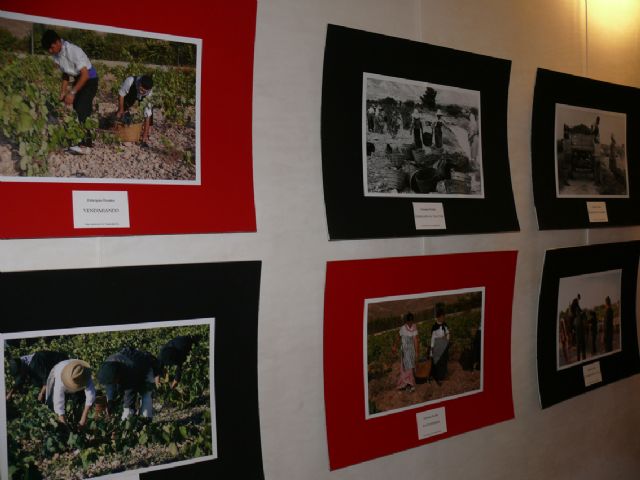 Inaugurada, en la casa del artesano, la exposición de fotografías  de 'estampas rurales' - 1, Foto 1