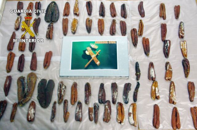 La Guardia Civil ha detenido a tres jóvenes por el robo de productos de alimentación - 1, Foto 1