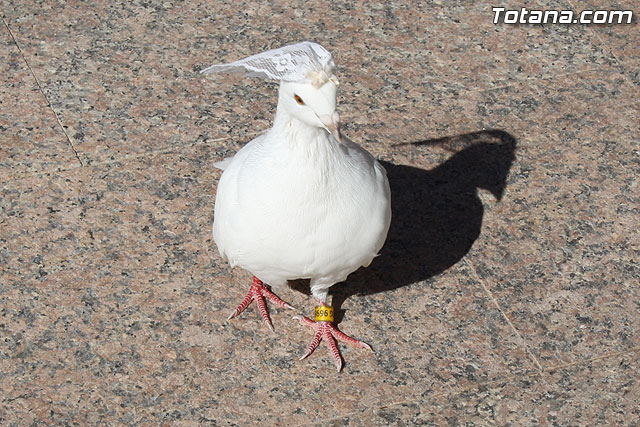 Misa con motivo del Da Internacional de las Personas Mayores - 14