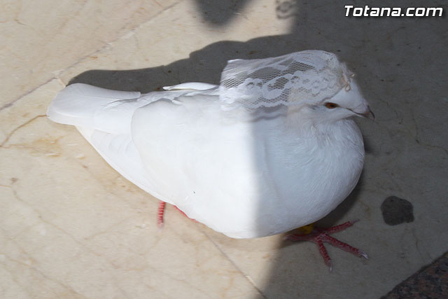 Misa con motivo del Da Internacional de las Personas Mayores - 15