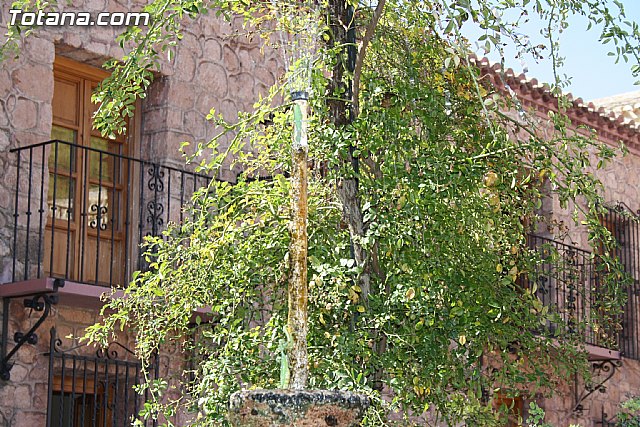 Misa con motivo del Da Internacional de las Personas Mayores - 25