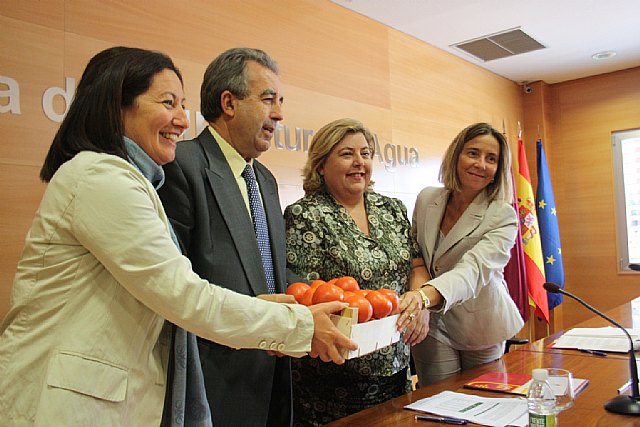 Las comunidades con mayor producción de tomate piden a Europa que no ratifique el acuerdo con Marruecos en los términos pactados - 1, Foto 1
